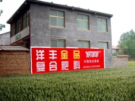 道孚如何让墙体广告展现最大化效果