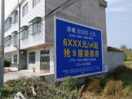 道孚墙体广告质量分析