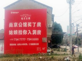 道孚墙体广告在乡镇、农村市场的媒体优势