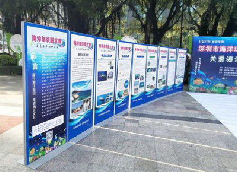 道孚KT板的种类和知识。